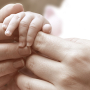 Advisory Council Series