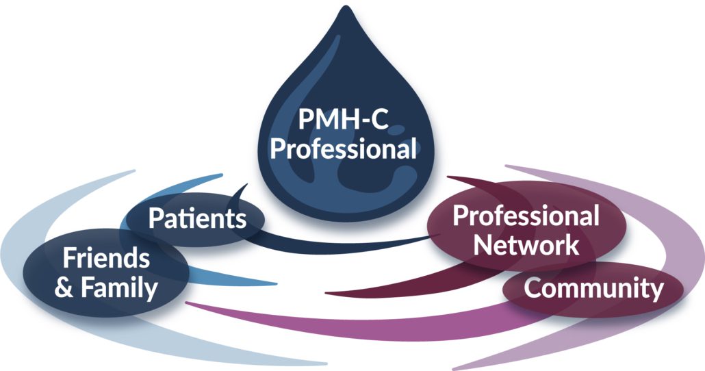 When one professional is trained as a Perinatal Mental Health Certification (PMH-C), it is not just the one professional who is affected – the entire community benefits.