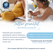 Taller prenatal: del embarazo al posparto.  - (Prenatal workshop: from pregnancy to postpartum.)