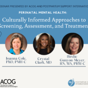 Perinatal Mental Health: Culturally Informed Approaches to Screening, Assessment And Treatment