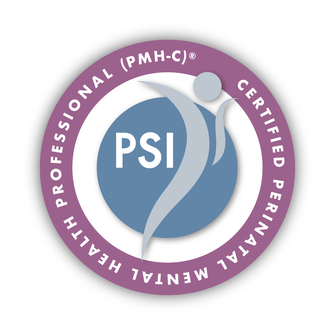 PSI PMH-C Seal